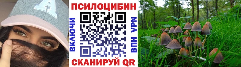 Галлюциногенные грибы MAGIC MUSHROOMS  Североморск 